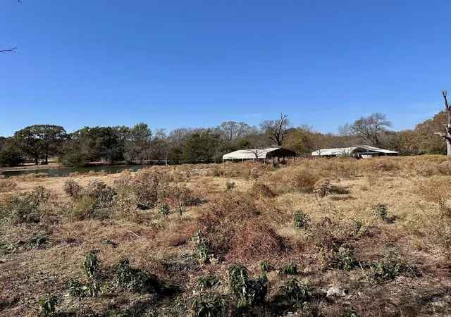 Photo 3 of Land for sale at Tbd Pink Hill Hwy, Bells, TX 75414 | MLS# 21261143 | Listing updated on 2026-10-05