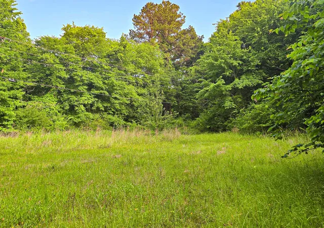 Photo 3 of Land for sale at Tbd W Cathy St, Lone Star, TX 75668 | MLS# 21270574 | Listing updated on 2026-07-29