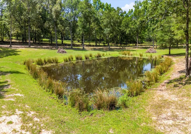 Photo 3 of Land for sale at 000 Vz County Road 4505, Ben Wheeler, TX 75754 | MLS# 21270922 | Listing updated on 2026-10-07
