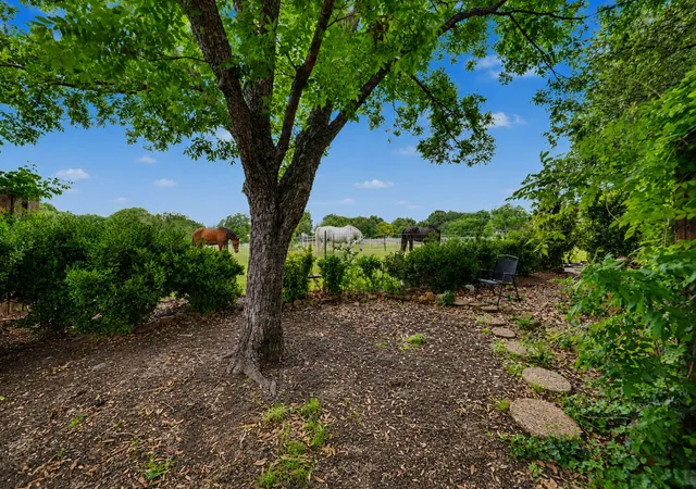 Photo 1 of Single family home for sale at 1905 Lakeway Dr, Rowlett, TX 75088 | MLS# 21269890 | Listing updated on 2026-09-29