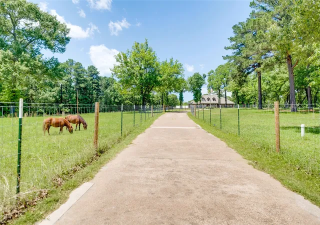 Photo 2 of House for sale at 231 An County Road 2105, Palestine, TX 75801 | MLS# 21261041 | Listing updated on 2026-09-14