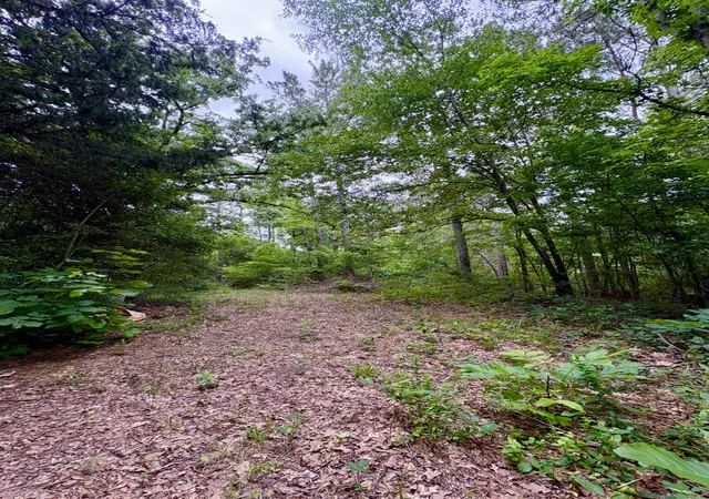 Photo 4 of Sale Pending at Tbd County Road 4504, Jacksonville, TX 75766 | MLS# 21272751 | Listing updated on 2026-09-14