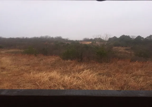 Photo 3 of Land for sale at Tbd County Road 103, Whitesboro, TX 76273 | MLS# 21273378 | Listing updated on 2026-09-11