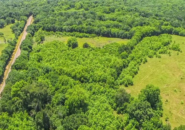 Photo 4 of Land for sale at 1561 Fm 80 N, Streetman, TX 75859 | MLS# 21262005 | Listing updated on 2026-08-01