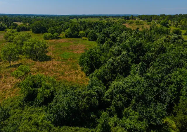 Photo 3 of Land for sale at Tbd County Road 4360, Decatur, TX 76234 | MLS# 21274231 | Listing updated on 2026-09-09