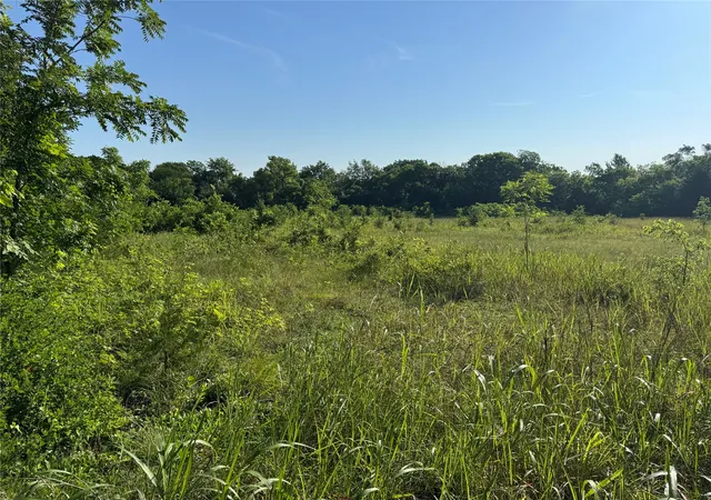 Photo 2 of Land for sale at Tbd Ball Rd, Whitewright, TX 75491 | MLS# 21278707 | Listing updated on 2026-09-14
