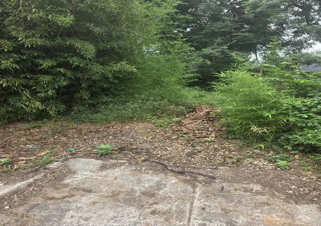 Photo 1 of Land for sale at 5106 Slater St, Dallas, TX 75215 | MLS# 21280856 | Listing updated on 2026-09-08