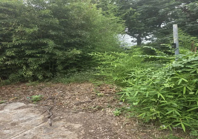 Photo 2 of Land for sale at 5106 Slater St, Dallas, TX 75215 | MLS# 21280856 | Listing updated on 2026-09-08