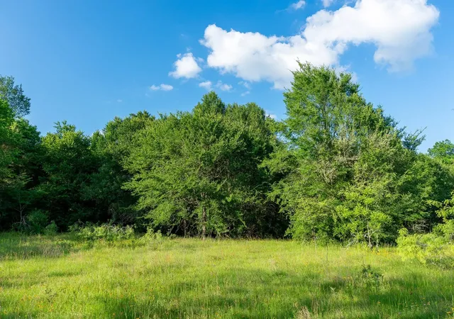 Photo 26 of Land for sale at Na Malone, Midway, TX 75852 | MLS# 21281089 | Listing updated on 2026-07-28