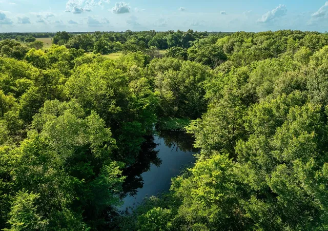 Photo 3 of Land for sale at Na Malone, Midway, TX 75852 | MLS# 21281089 | Listing updated on 2026-07-28