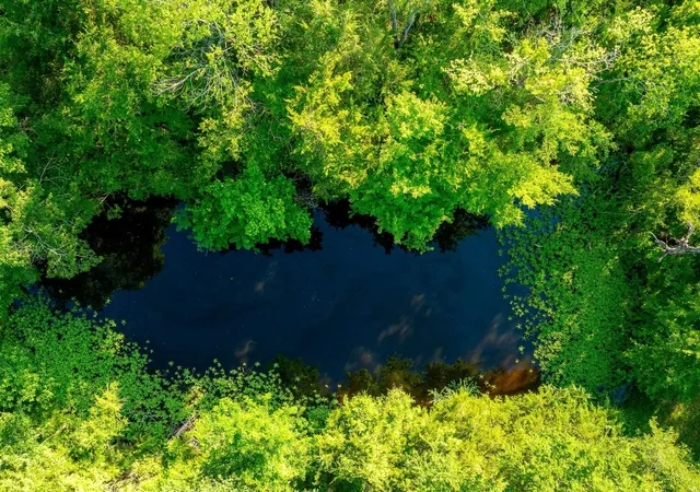 Photo 4 of Land for sale at Na Malone, Midway, TX 75852 | MLS# 21281089 | Listing updated on 2026-07-28