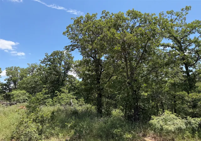 Photo 3 of Land for sale at 0000 Rux Rd, Newcastle, TX 76372 | MLS# 21281910 | Listing updated on 2026-07-30