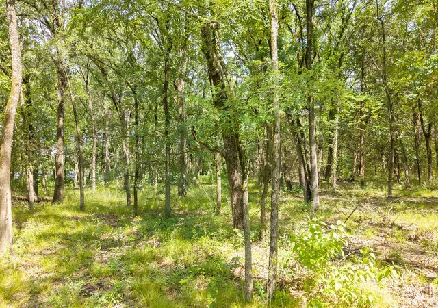 Land for sale at 000 Pr 206, Bonham, TX 75418 | MLS# 21282035