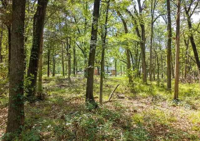 Photo 2 of Land for sale at 000 Pr 206, Bonham, TX 75418 | MLS# 21282035 | Listing updated on 2026-10-20