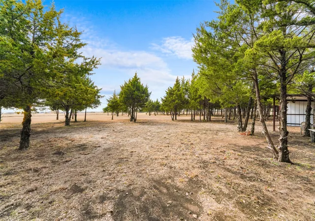Photo 3 of Land for sale at 710 E Reindeer Rd, Lancaster, TX 75146 | MLS# 21282469 | Listing updated on 2026-09-15