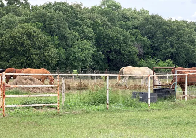 Photo 4 of Land for sale at 6832 Fm 2931, Aubrey, TX 76227 | MLS# 21282610 | Listing updated on 2026-07-28