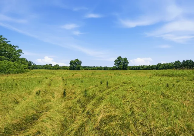 Photo 3 of Land for sale at 000 Us Hwy 82, Sherman, TX 75092 | MLS# 21286344 | Listing updated on 2026-08-02
