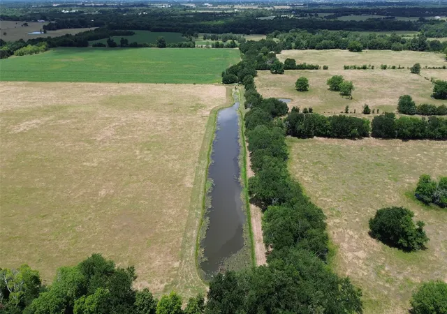 Photo 3 of Land for sale at 15901 County Road 1030, Blue Ridge, TX 75424 | MLS# 21287746 | Listing updated on 2026-10-06