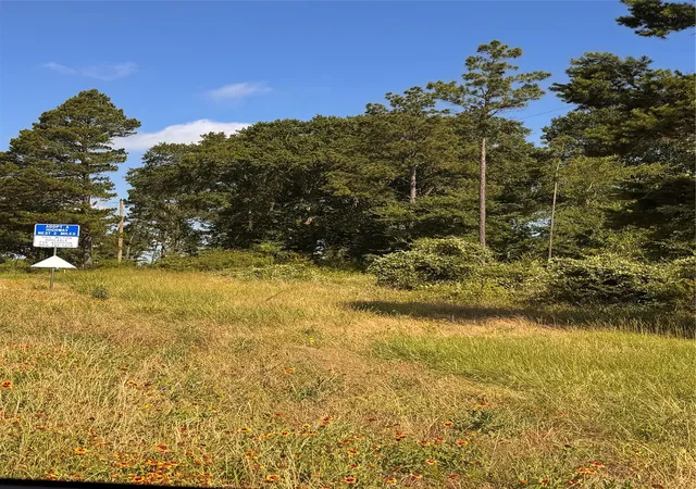 Land for sale at 0000 W State Hwy 294, Elkhart, TX 75839 | MLS# 21288565
