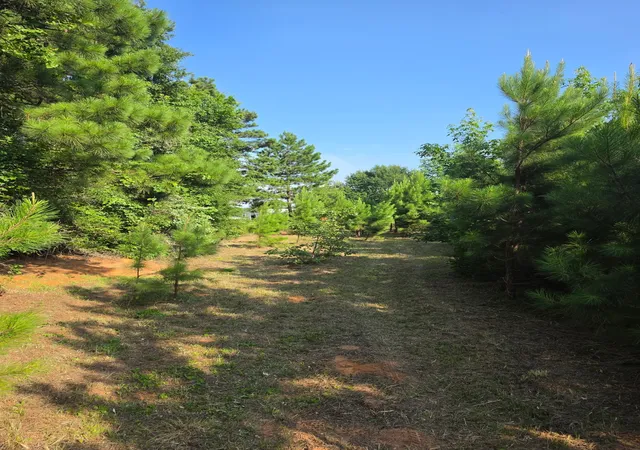 Photo 21 of Land for sale at 0000 W State Hwy 294, Elkhart, TX 75839 | MLS# 21288565 | Listing updated on 2026-07-29
