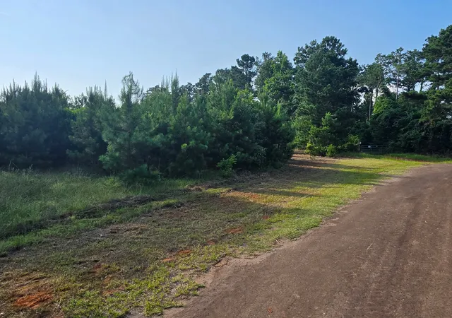 Photo 2 of Land for sale at 0000 W State Hwy 294, Elkhart, TX 75839 | MLS# 21288565 | Listing updated on 2026-07-29