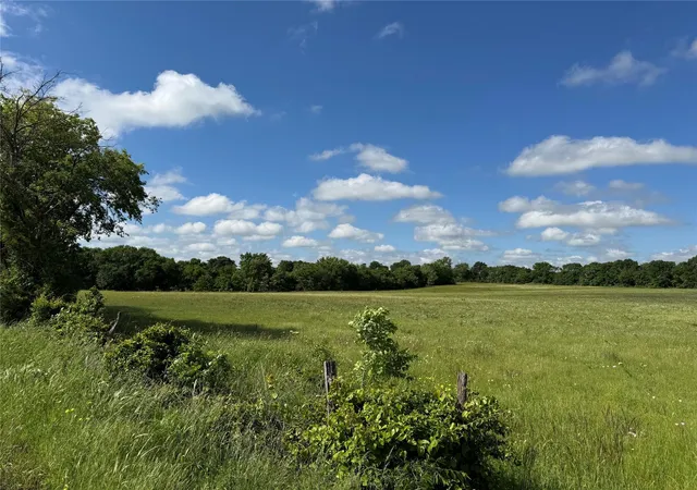 Photo 3 of Land for sale at Tbd Tribble Rd, Sherman, TX 75090 | MLS# 21297369 | Listing updated on 2026-09-09