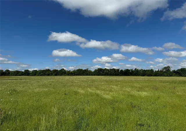 Photo 3 of Land for sale at Tbd Tribble Rd, Sherman, TX 75090 | MLS# 21297369 | Listing updated on 2026-09-09
