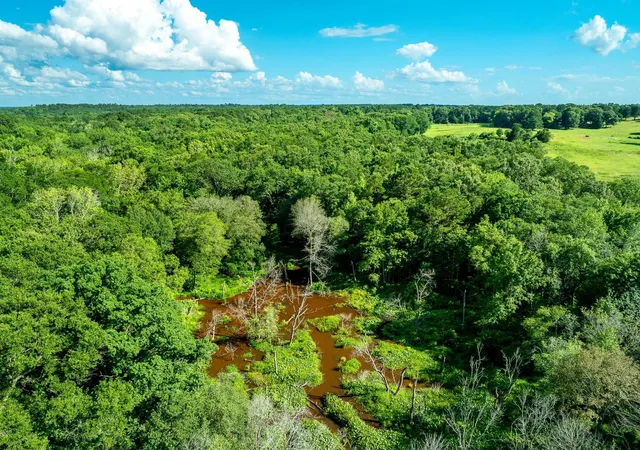 Land for sale at Na Cr 2137 D, Tatum, TX 75961 | MLS# 21300104 | Listing updated on 2026-07-28