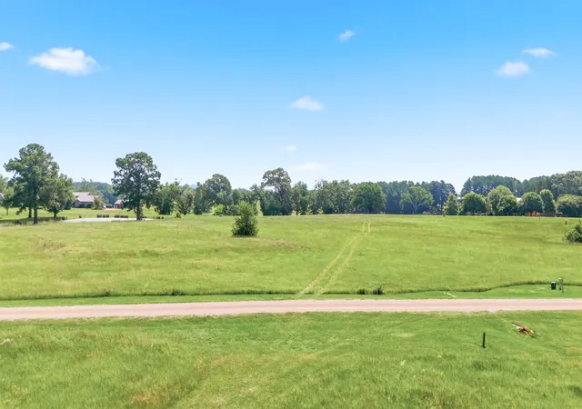 Photo 3 of Land for sale at Lot 20 Caddo Creek Cir, Larue, TX 75770 | MLS# 21288969 | Listing updated on 2026-07-29