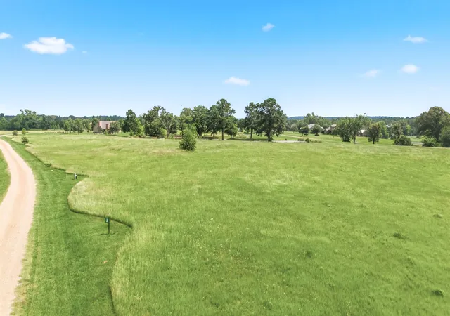 Photo 3 of Land for sale at Lot 20 Caddo Creek Cir, Larue, TX 75770 | MLS# 21288969 | Listing updated on 2026-07-29