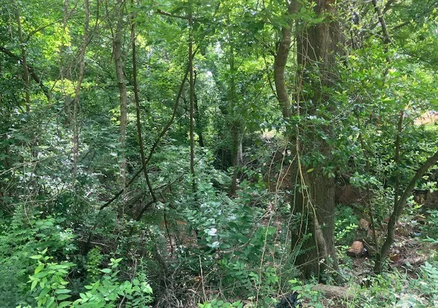 Photo 3 of Land for sale at 1315 N Fannin Ave, Tyler, TX 75702 | MLS# 21298405 | Listing updated on 2026-09-10
