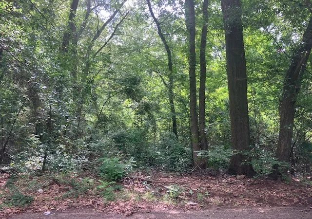 Photo 4 of Land for sale at 1315 N Fannin Ave, Tyler, TX 75702 | MLS# 21298405 | Listing updated on 2026-09-10