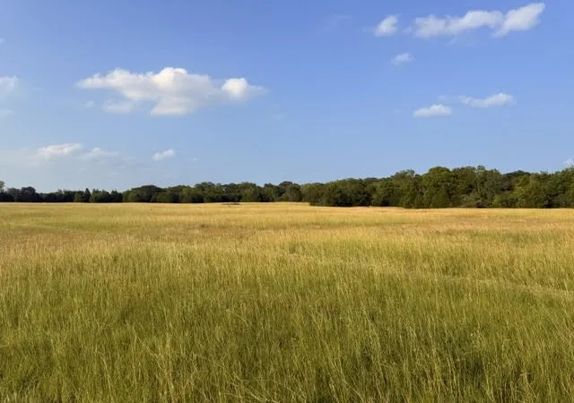 Photo 1 of Land for sale at Tbd County Road 2500, Eustace, TX 75124 | MLS# 21303875 | Listing updated on 2026-09-09