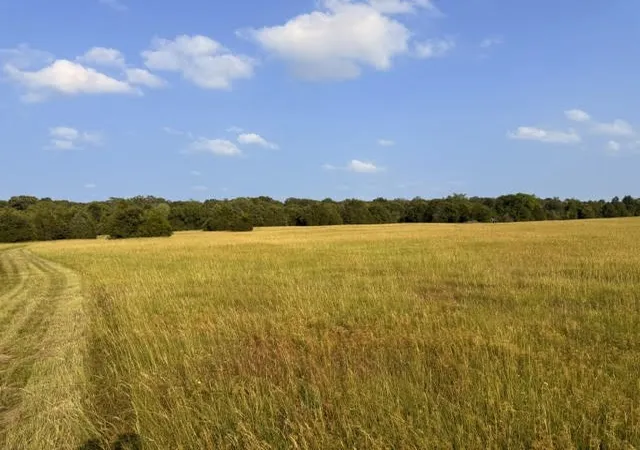 Photo 2 of Land for sale at Tbd County Road 2500, Eustace, TX 75124 | MLS# 21303875 | Listing updated on 2026-09-09
