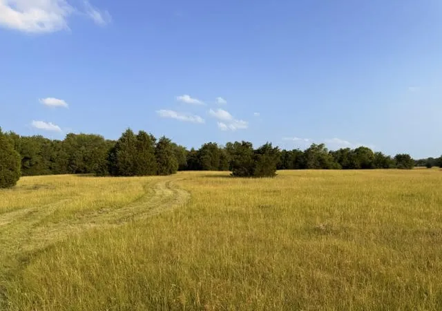 Photo 3 of Land for sale at Tbd County Road 2500, Eustace, TX 75124 | MLS# 21303875 | Listing updated on 2026-09-09