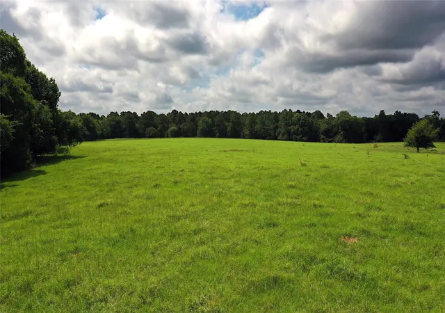 Photo 1 of House for sale at Tbd County Road 4090, Kerens, TX 75144 | MLS# 21307069 | Listing updated on 2026-10-20