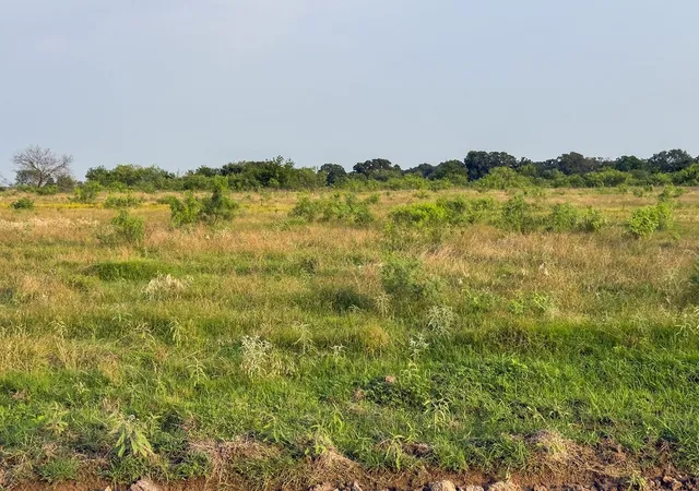 Photo 3 of Land for sale at Lot 13 Elm Branch, Elm Mott, TX 76640 | MLS# 21307843 | Listing updated on 2026-09-02