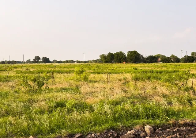 Photo 3 of Land for sale at Lot 20 Elm Branch, Elm Mott, TX 76640 | MLS# 21307924 | Listing updated on 2026-09-02