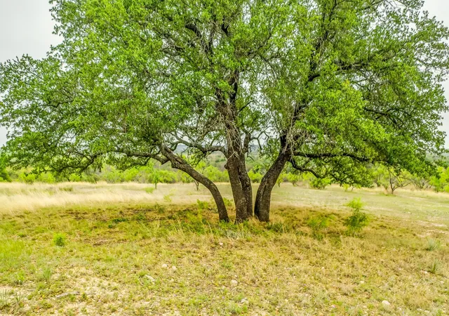 Land for sale at Lot 3 County Road 332, Blanket, TX 76432 | MLS# 21311039