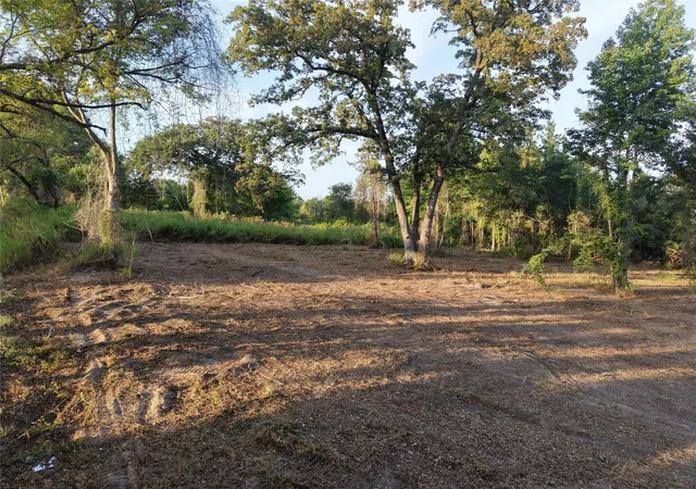 Photo 4 of Land for sale at Tbd Cr 3211, Pittsburg, TX 75686 | MLS# 21317907 | Listing updated on 2026-09-09