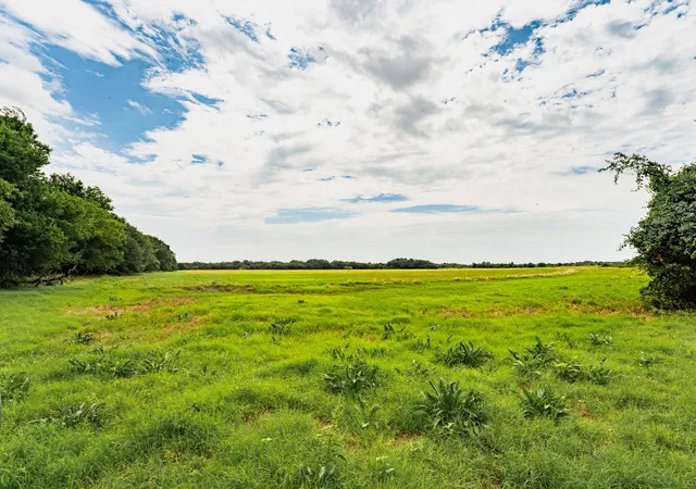 Photo 3 of Land for sale at 207 Cr 1750, Chico, TX 76431 | MLS# 21317101 | Listing updated on 2026-09-11