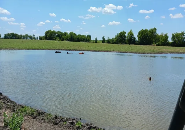 Photo 2 of House for sale at Tbd County Road 1222, Deport, TX 75435 | MLS# 21318236 | Listing updated on 2026-07-31