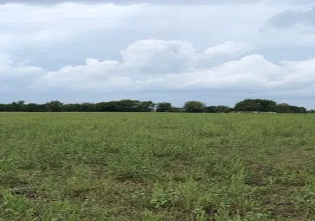 Photo 4 of House for sale at Tbd County Road 1222, Deport, TX 75435 | MLS# 21318236 | Listing updated on 2026-07-31