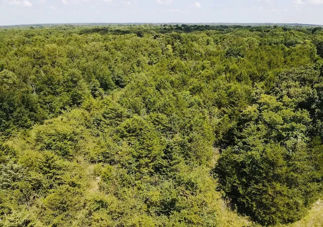 Photo 3 of Land for sale at 000 Cr 27300, Roxton, TX 75477 | MLS# 21321127 | Listing updated on 2026-09-09