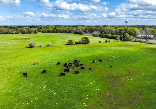 Photo 4 of Land for sale at 0 St Hwy 274 #TR14B1, Seven Points, TX 75143 | MLS# 21321400 | Listing updated on 2026-09-17