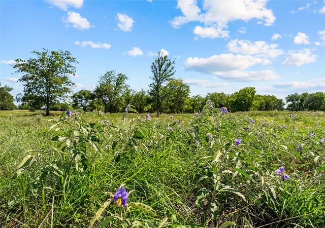Photo 2 of Land for sale at Lot 17 Lakewood Dr, Whitney, TX 76692 | MLS# 21324271 | Listing updated on 2026-09-10