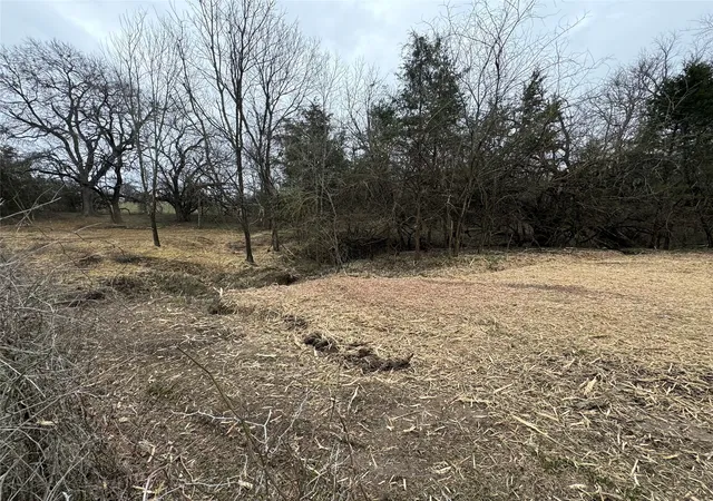Photo 3 of Land for sale at Lot 3 Fm 128 Ss, Cooper, TX 75432 | MLS# 21325708 | Listing updated on 2026-09-08