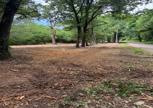 Land for sale at Lot 4 County Road 3562, Dike, TX 75437 | MLS# 21326632