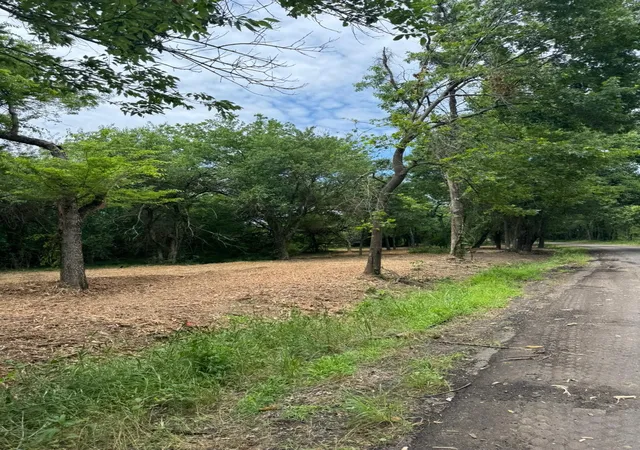 Photo 2 of Land for sale at Lot 4 County Road 3562, Dike, TX 75437 | MLS# 21326632 | Listing updated on 2026-07-29