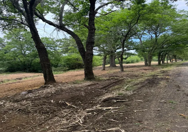 Photo 3 of Land for sale at Lot 4 County Road 3562, Dike, TX 75437 | MLS# 21326632 | Listing updated on 2026-07-29